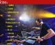 Dj彪仔-全国语Electro超动感超嗨百听不厌跳舞专辑